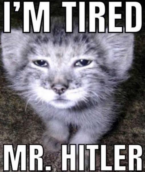 𝘑𝘜𝘕𝘌丰 tweet media