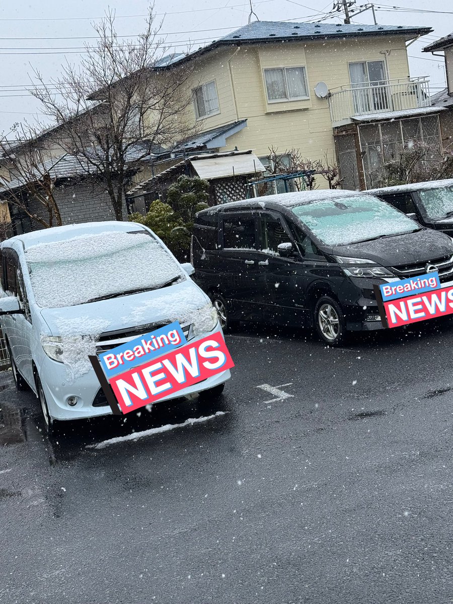 めんこいベイベ tweet media