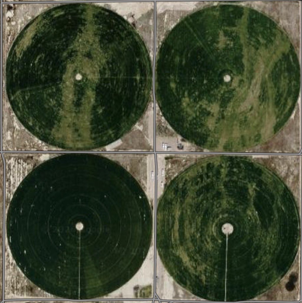 SITO.(シト) tweet media