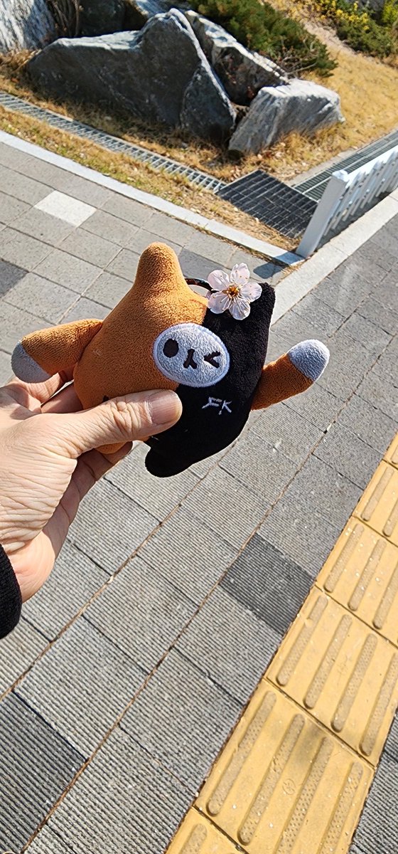 🍊🧡귤ส้ม🍊🧡 tweet media