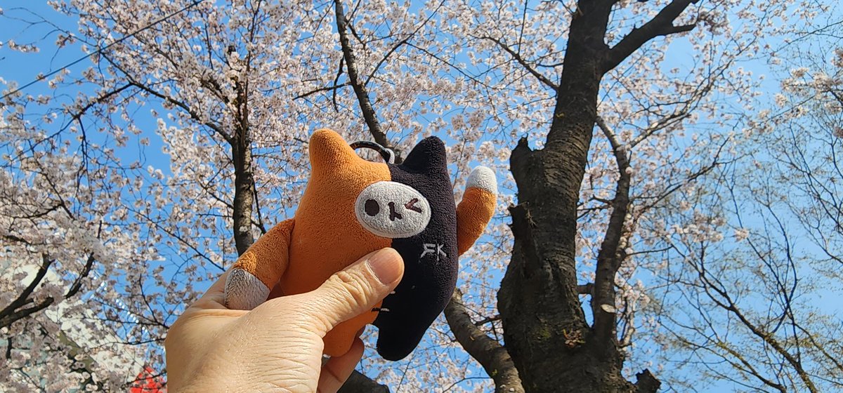 🍊🧡귤ส้ม🍊🧡 tweet media