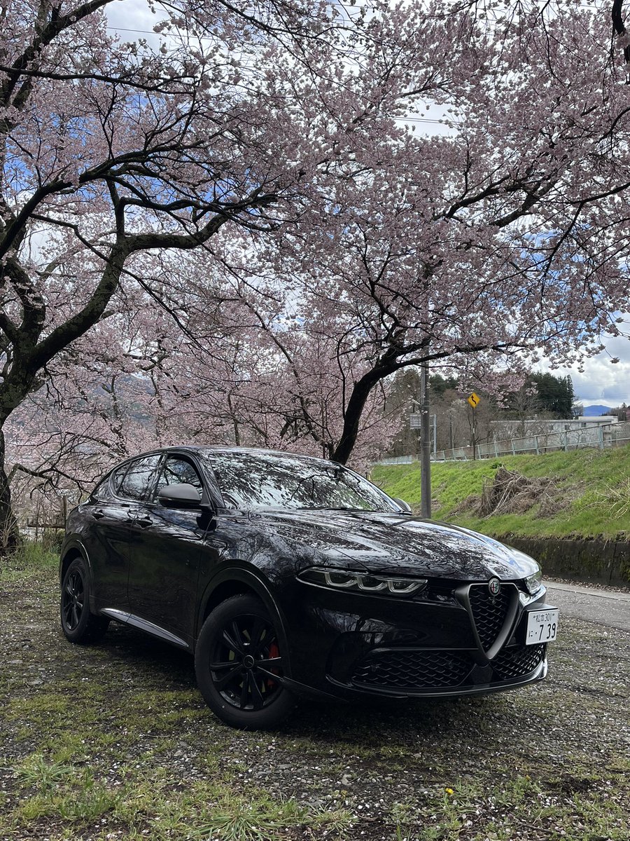 selmer147 tweet media