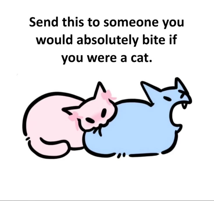 Cat Posted tweet media