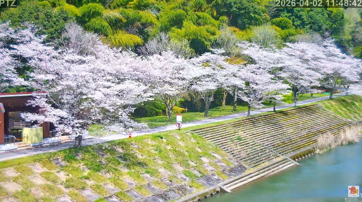 ライブカメラDB tweet media