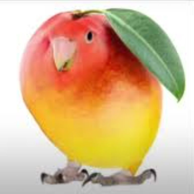 eggsafterpan 🔞 tweet media