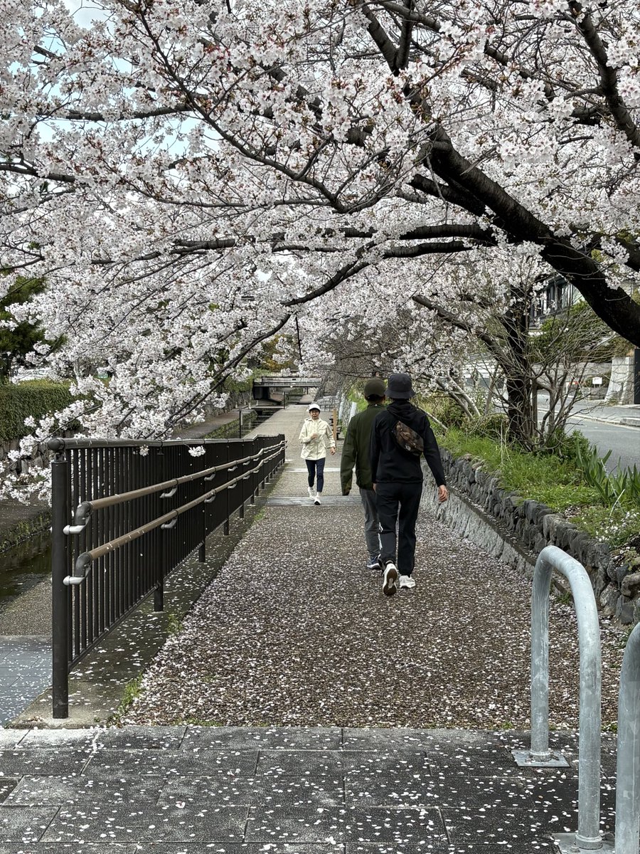 Aleksey Litvinov tweet media