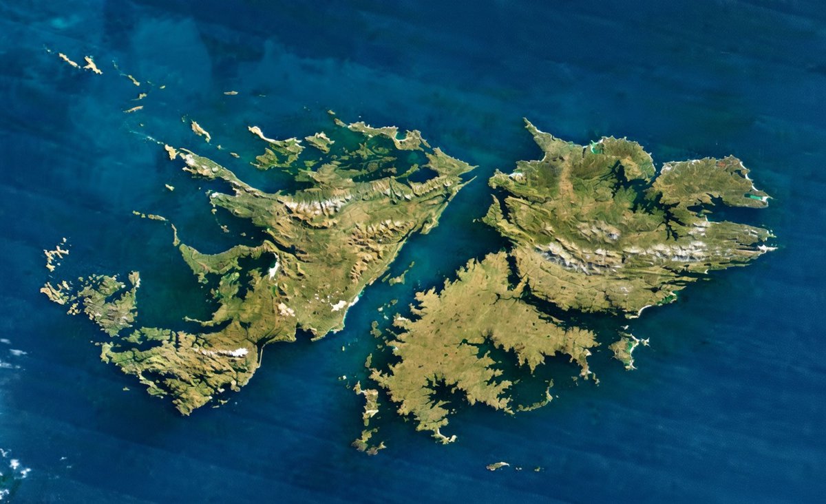 El gordo edición tweet media