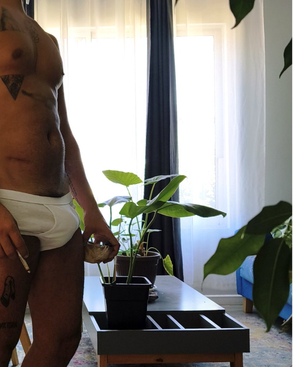 Dano Degroux | tweet media