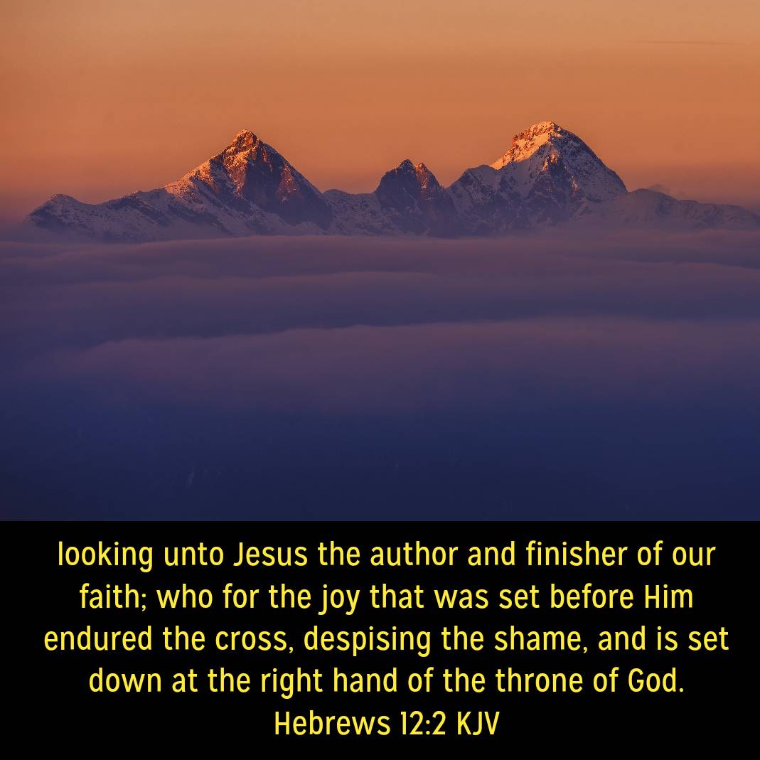 Andrew S. Baker tweet media