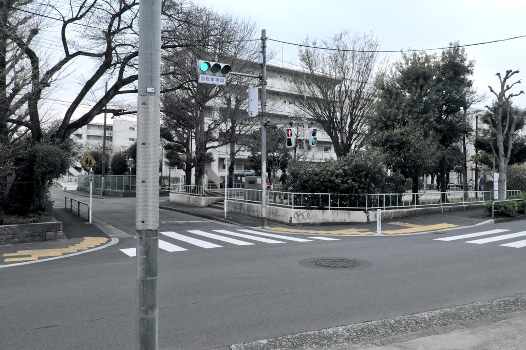 ｺｰﾄは新生活開始 tweet media