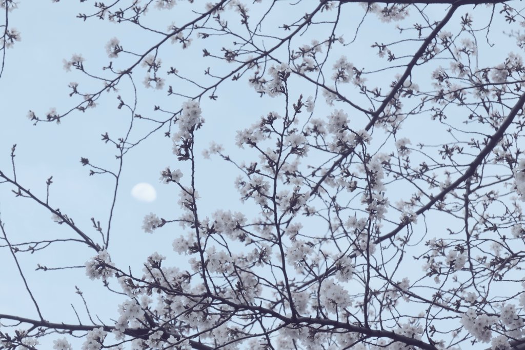 ｺｰﾄは新生活開始 tweet media