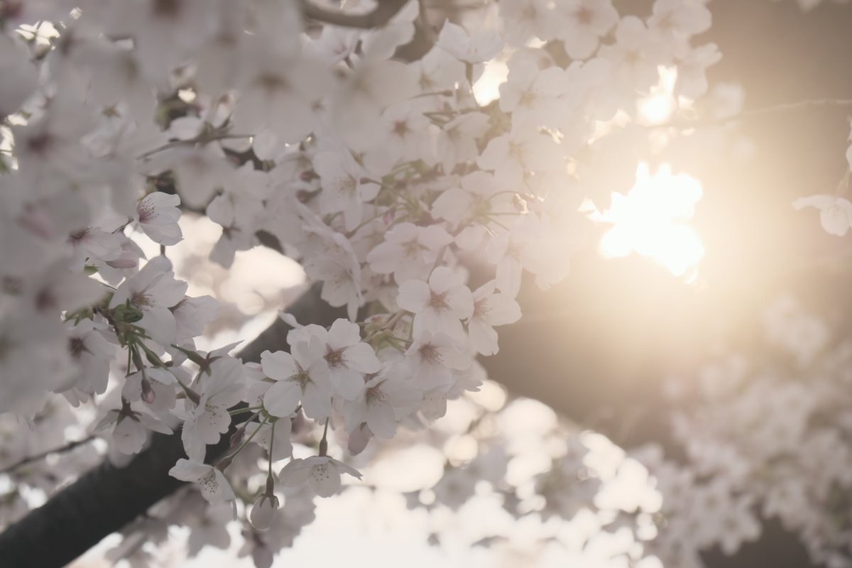 ｺｰﾄは新生活開始 tweet media