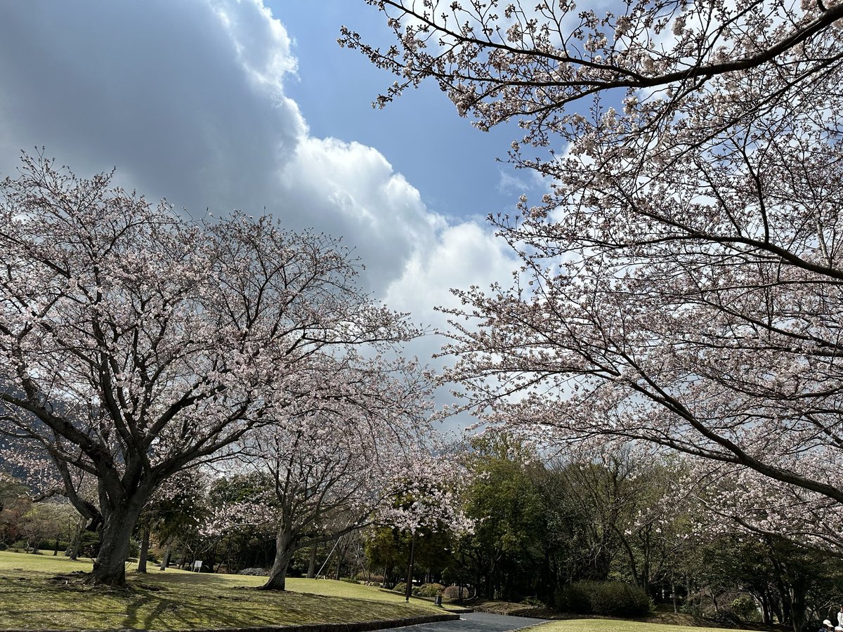 no one cat🍥 tweet media