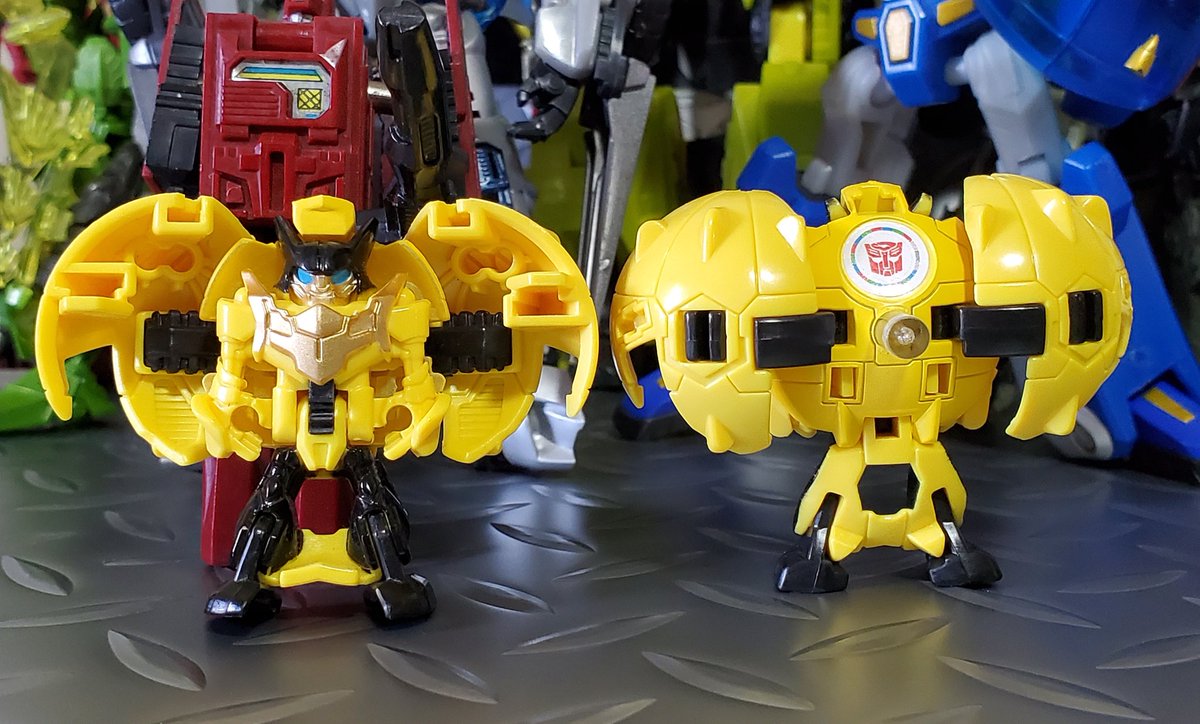 マキシマ tweet media