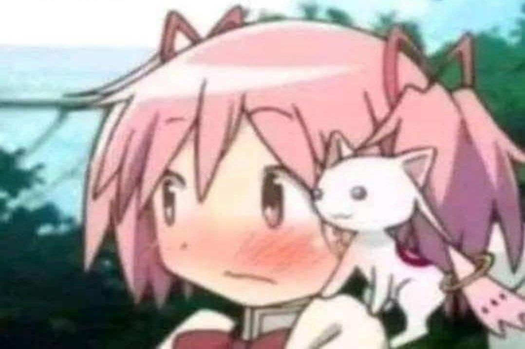 Muois 🇵🇪🎲🎀 tweet media