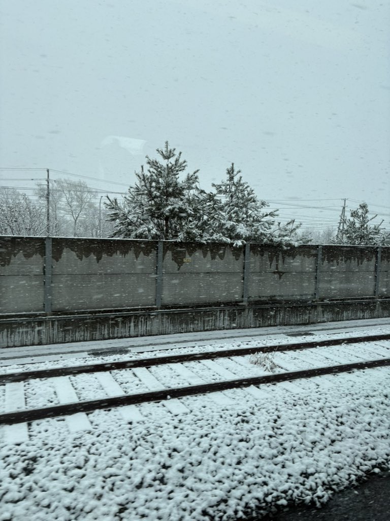 なつみかん tweet media