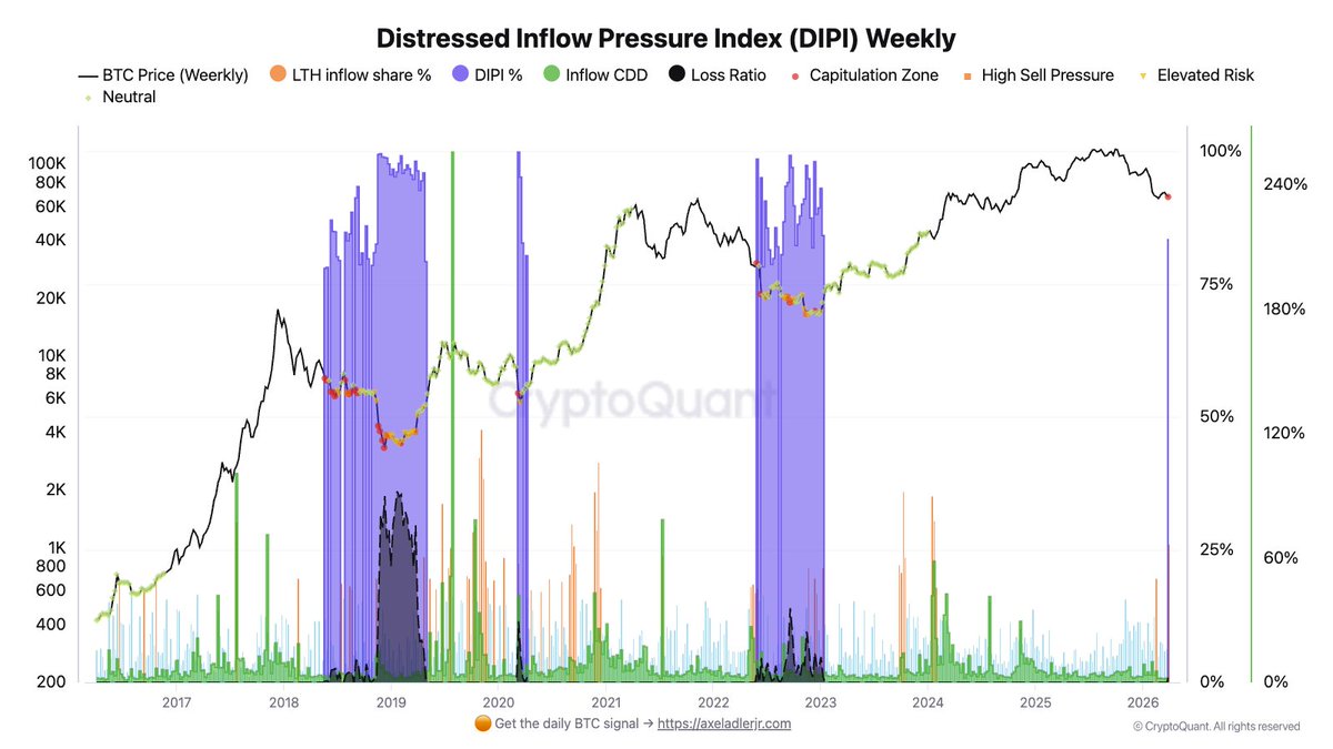 RightPulse tweet media