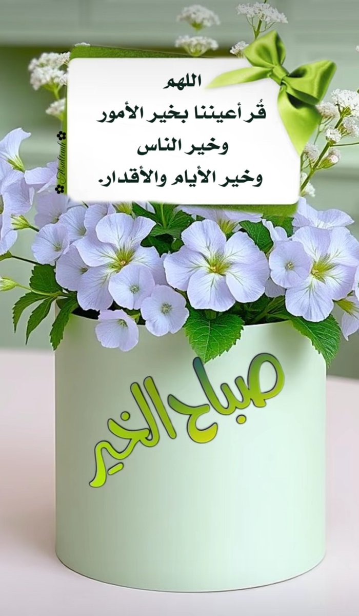 ناصر العبري 🌹 tweet media