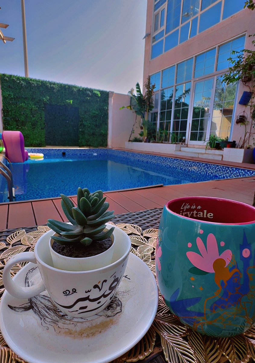 Dr Abeer tweet media