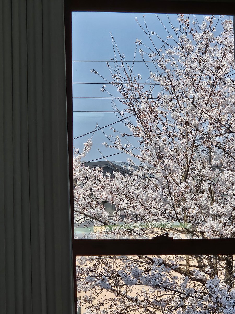 강콩ྀི tweet media