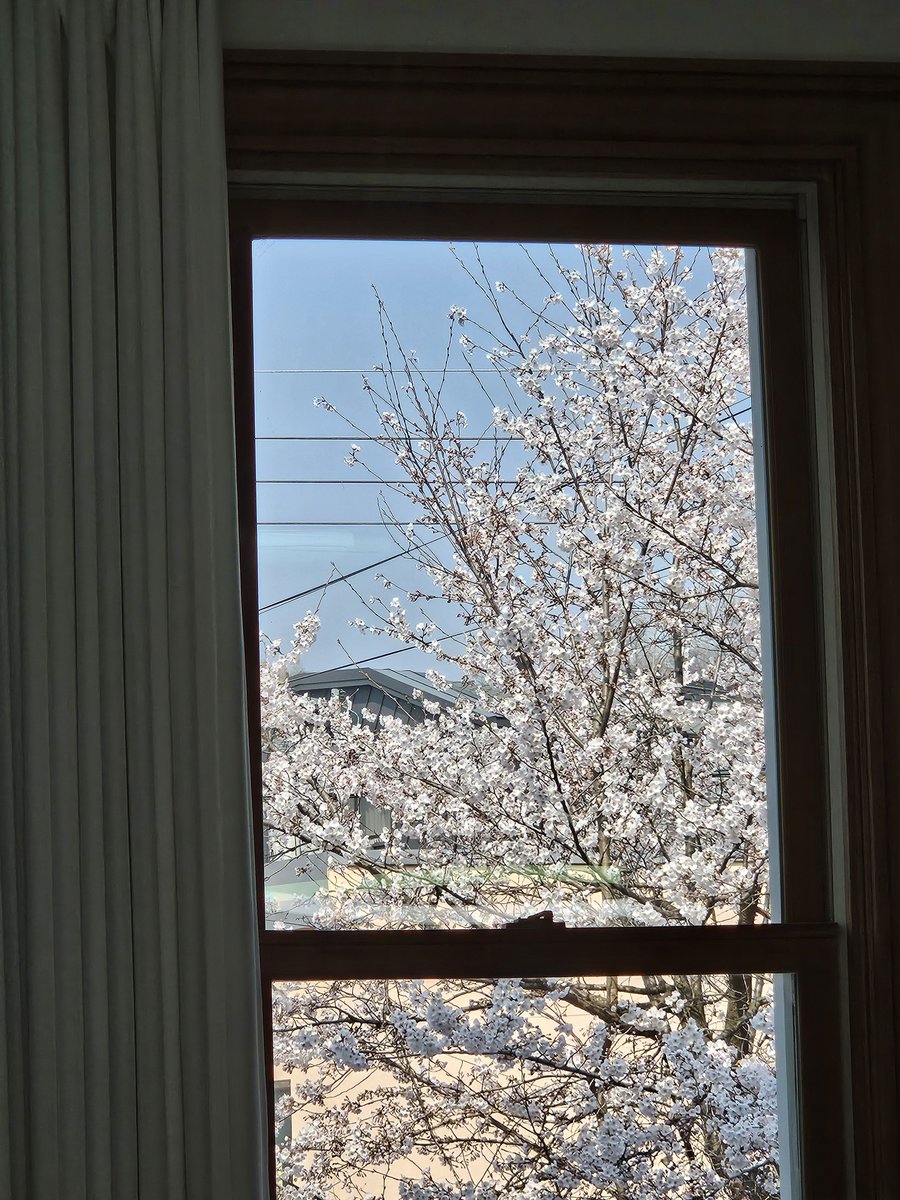 강콩ྀི tweet media