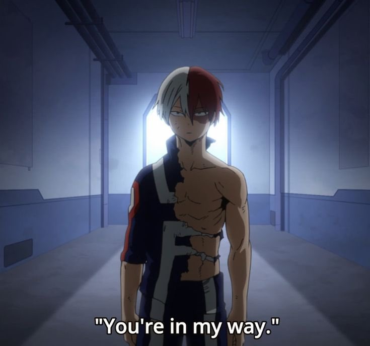 kohana 🌸 tweet media