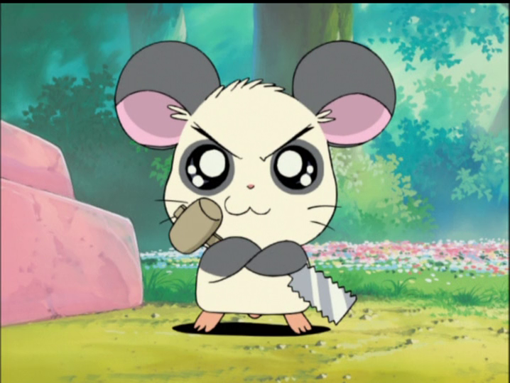 Hamtaro・ハム太郎 tweet media