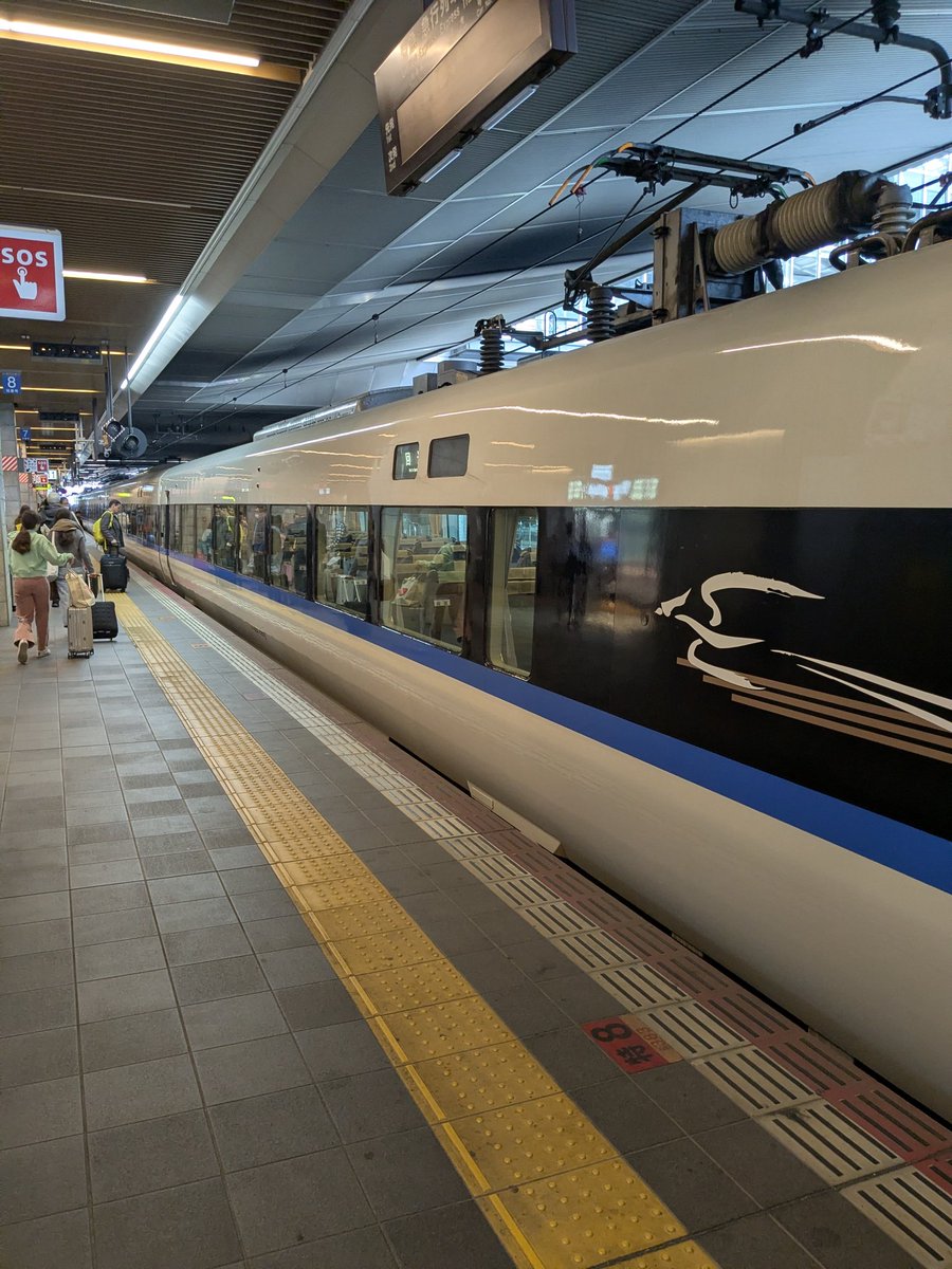 競輪と就活の両立！ぽこちゃんの成功への道 tweet media