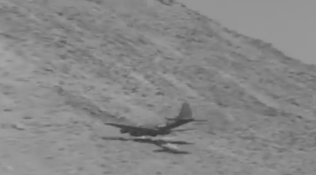 sea_alex tweet media