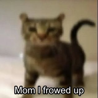 Cat Posted tweet media