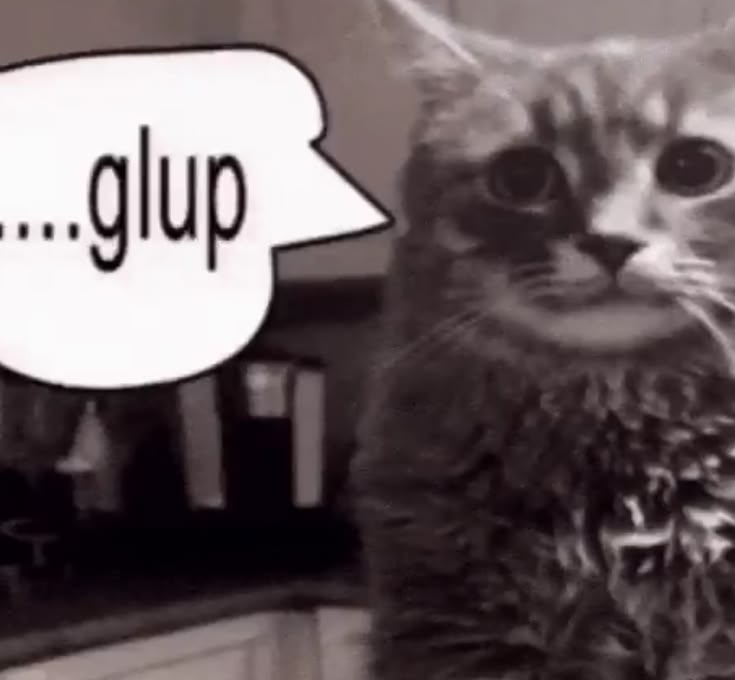 Cat Posted tweet media