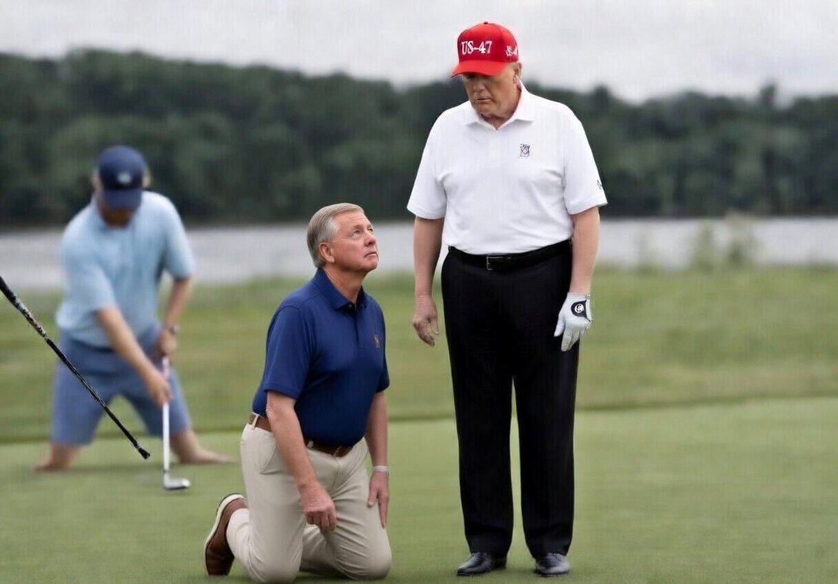 Sheckie™️ tweet media