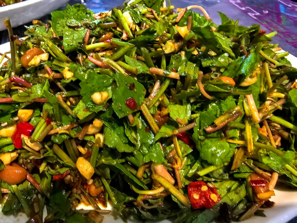 畅所欲言 tweet media