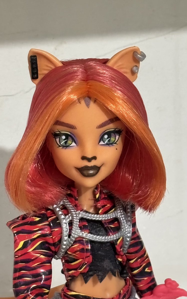 bertinho tweet media