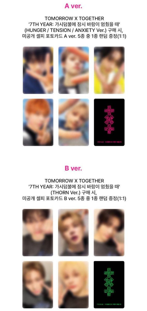 raa 𓏲𝄢 tweet media