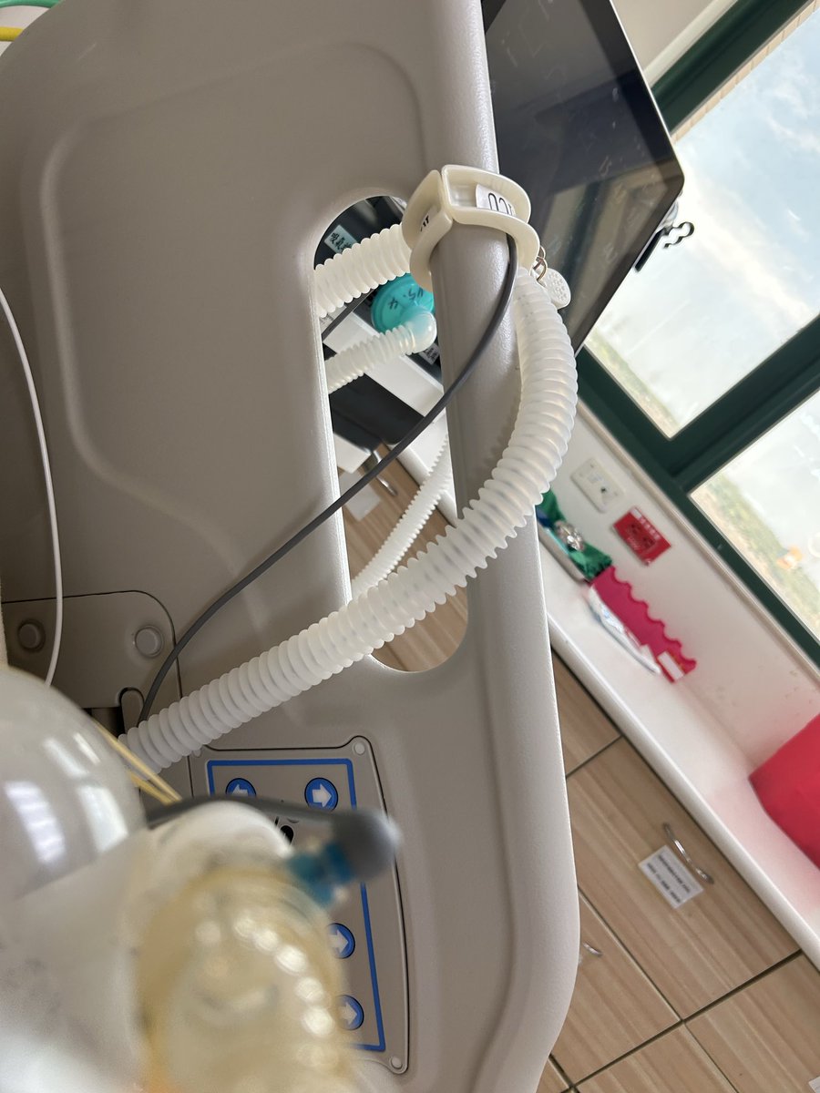 🌸 天羽彌子🌸海豹系女僕vtuber tweet media