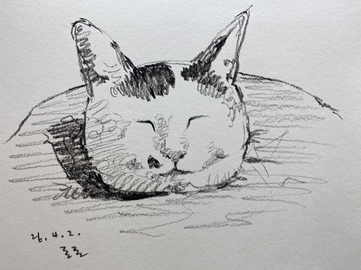 로로네 작업실 tweet media