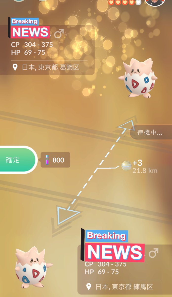 まおこだ💛 tweet media