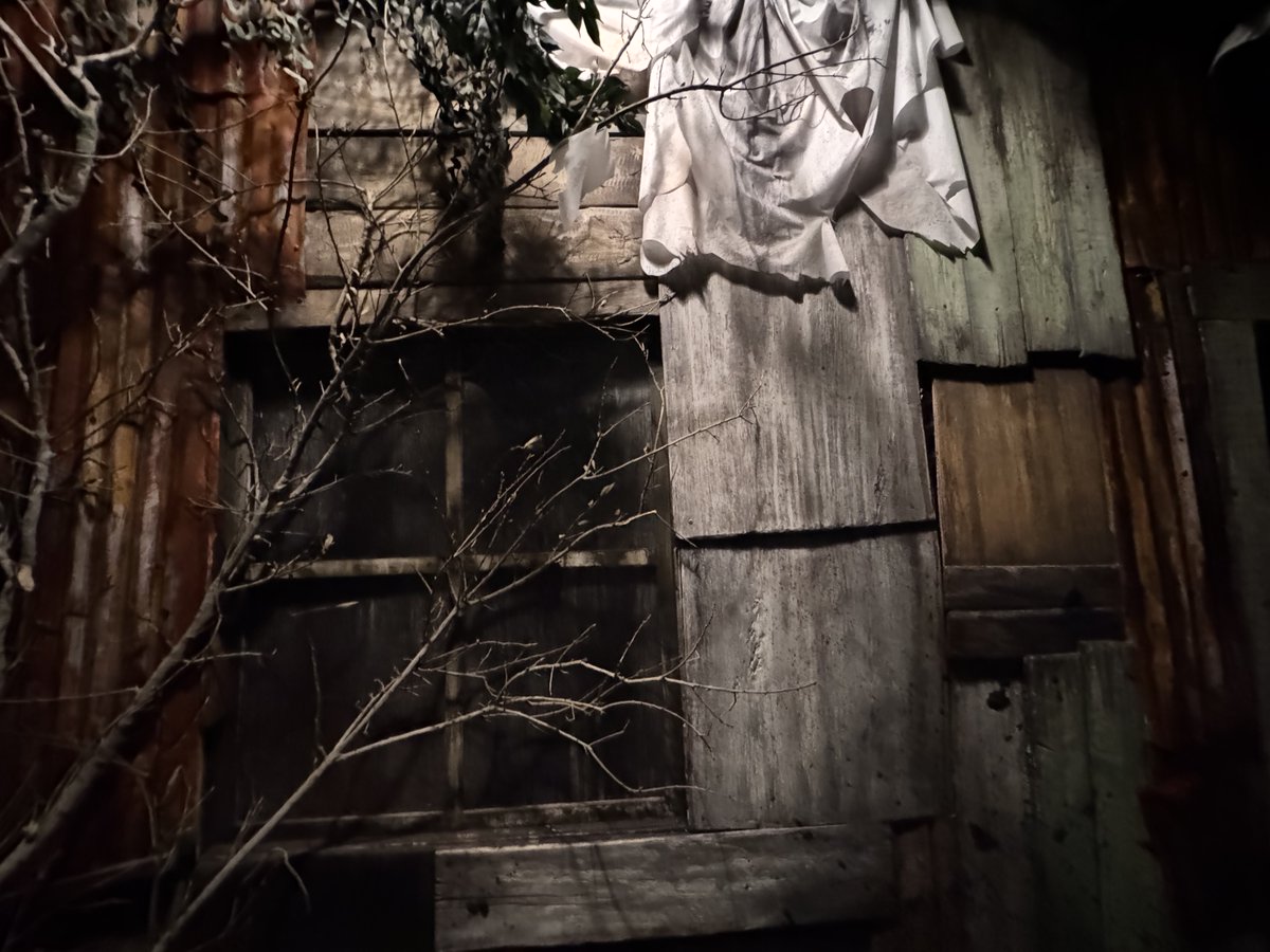 EvilTakesRoot tweet media