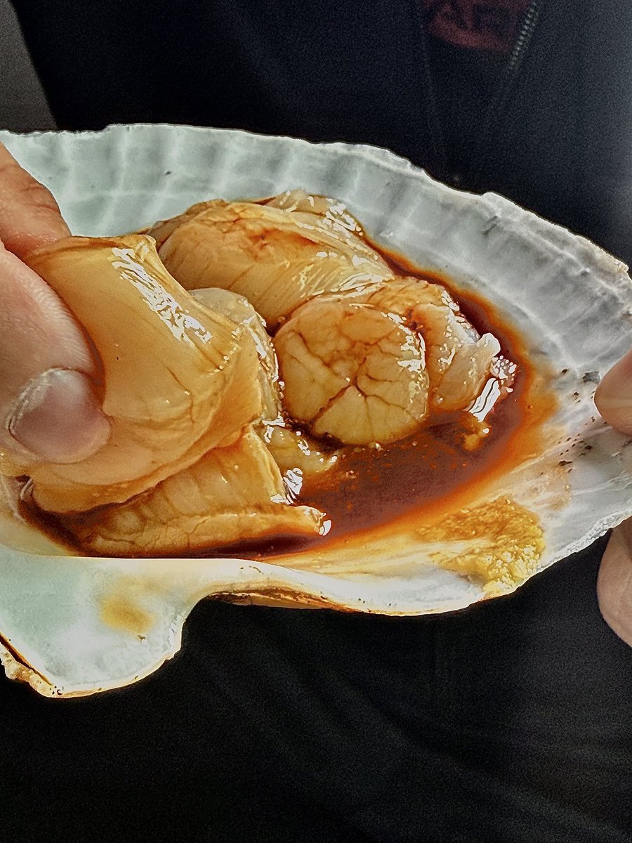 モンスト攻略TV2（2トンホタテマン） tweet media