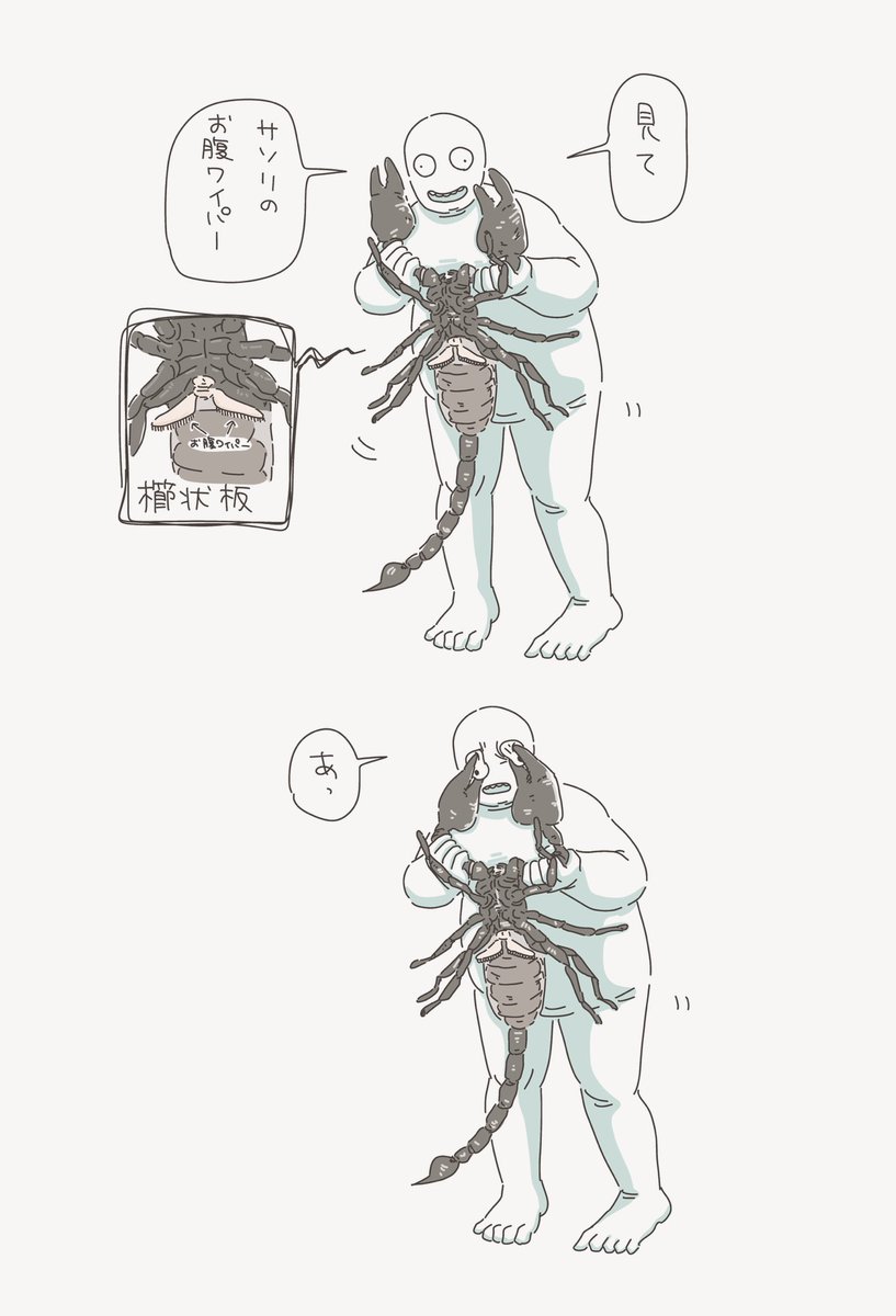 みzoo tweet media