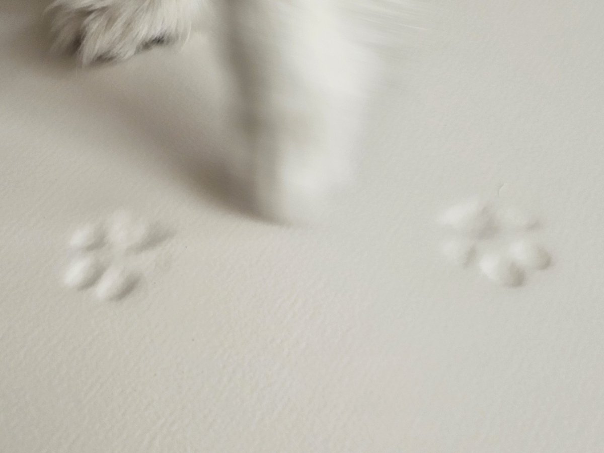 두르강튀아 tweet media