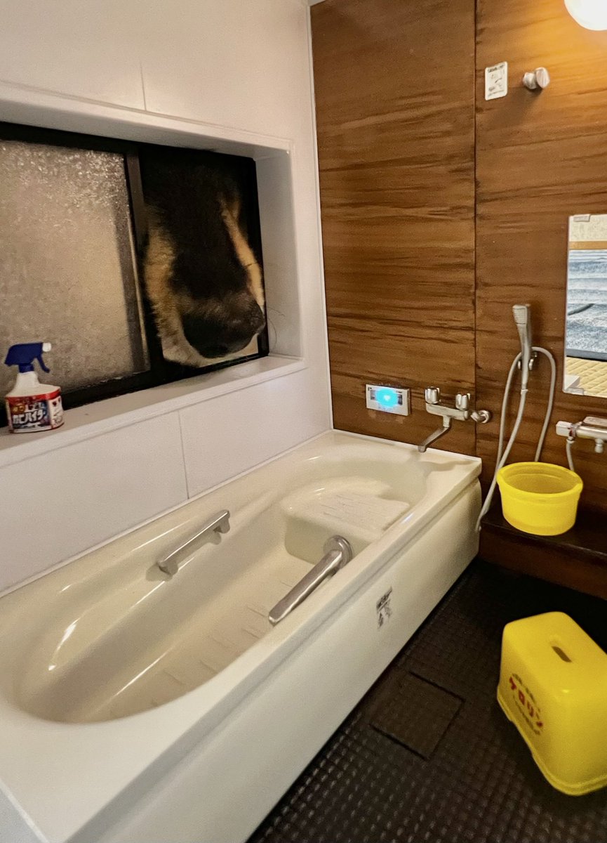 HGS model tweet media