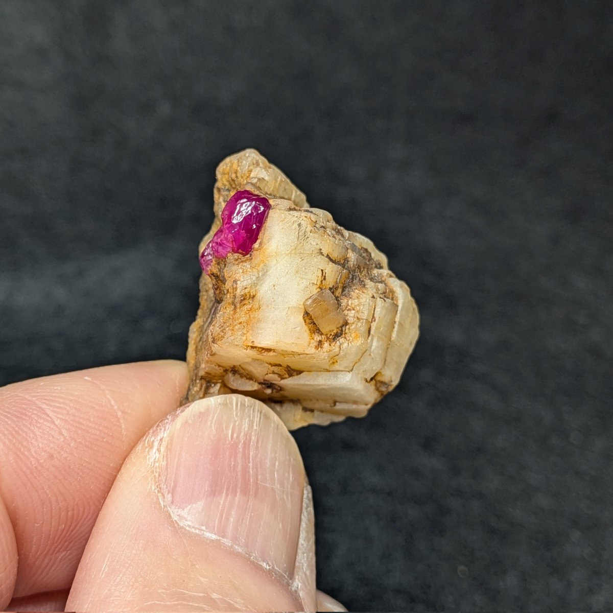 Star-38【公式】4/3 - 4/5 名古屋ミネラル ショー★吹上ホール★ tweet media