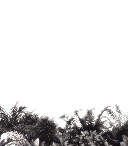 ᅠ ⎯⎯ּ ֻᅠ 𝕬𝗙𝖱̷̸𝖨꯭𝗖꯭𝖠𝖭 ࣪ᅠ ✠ ࣭ ᅠ𓀍̸̱͟ tweet media