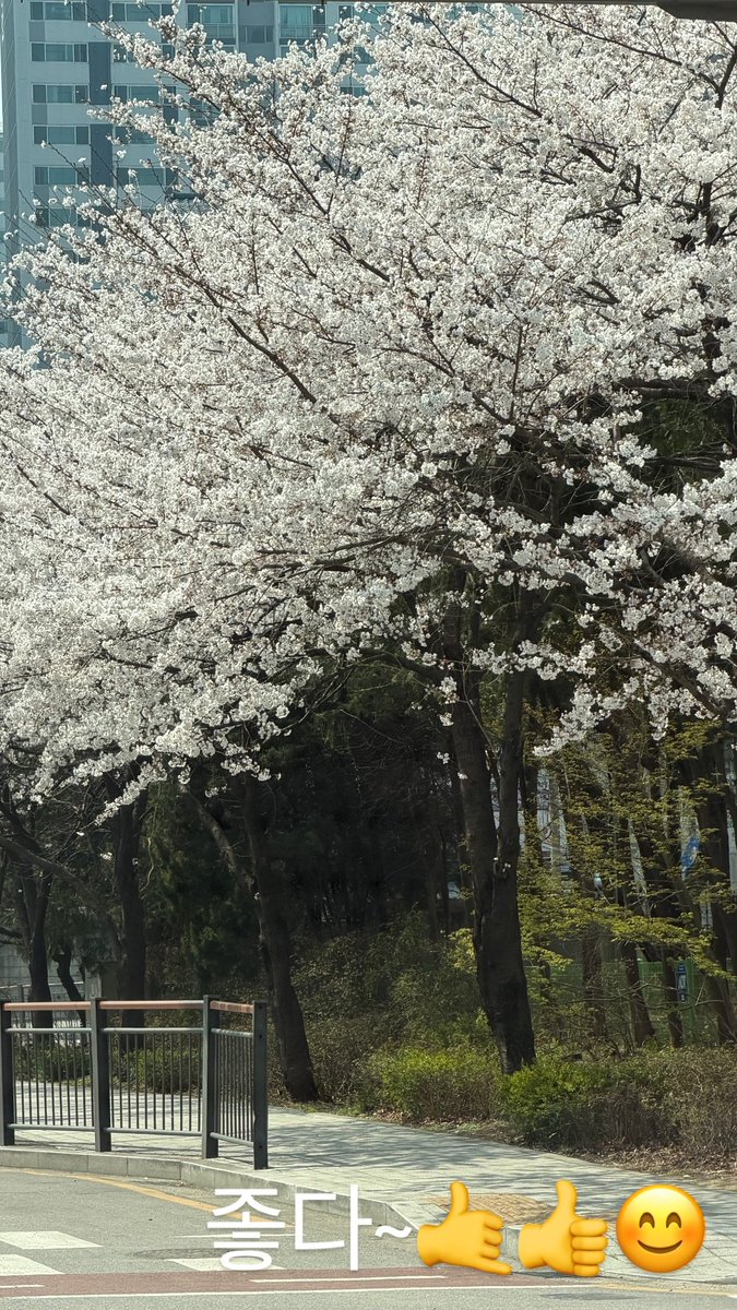 김성식 아카이브 tweet media