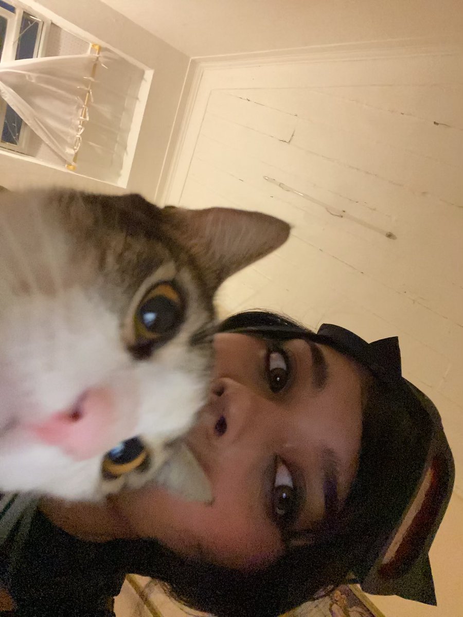 Maia (in my bubble) tweet media