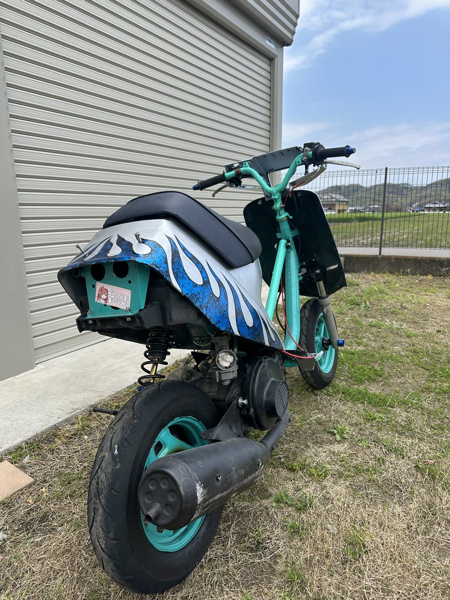 とり天𓅞⸒⸒ tweet media