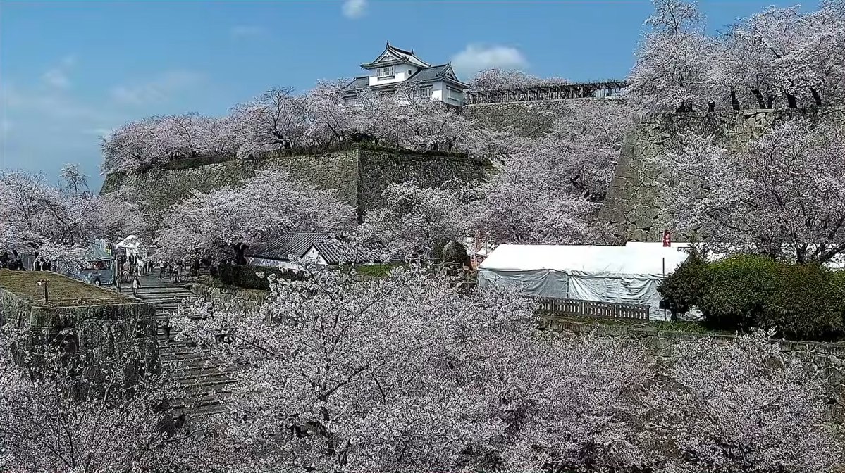 ライブカメラDB tweet media