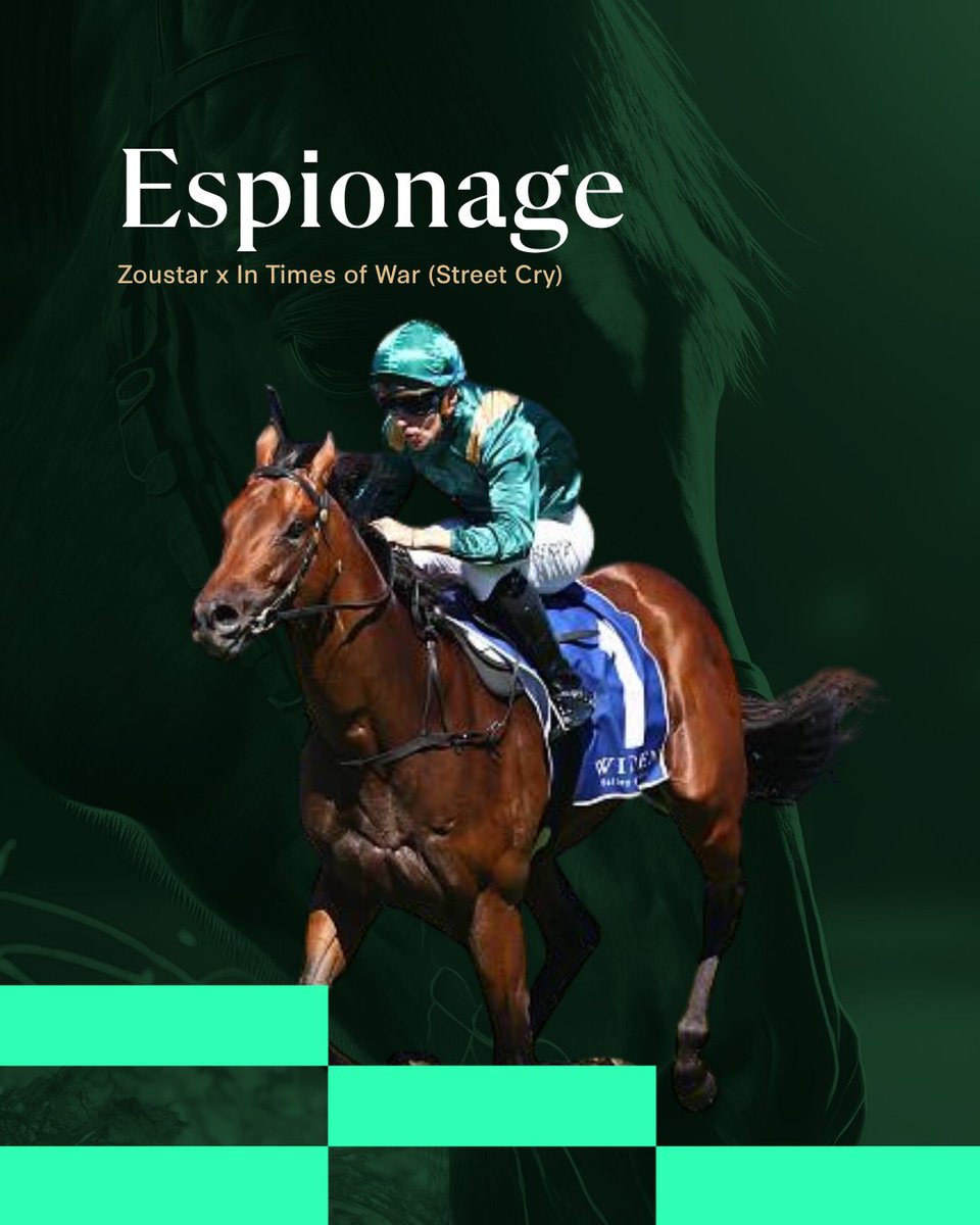stallionmatch's tweet image. 🚨 NEW on Stallion Match — Espionage (Zoustar x In Times Of War)
📍 @Lovatsville, VIC | $11,000
🏆 2 SW from 10 starts | $397k earned
📊 up to 5.8x stakes winning success potential
🔍 stallionmatch.com/stallion-search
#StallionMatch #Espionage #NewStallion #ThoroughbredBreeding